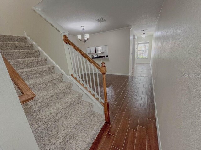209 Dragons Fire Pl, Valrico, FL 33594 - photo 6