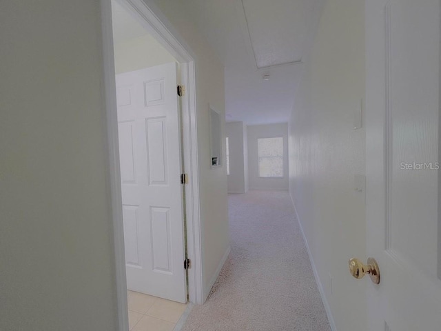 209 Dragons Fire Pl, Valrico, FL 33594 - photo 13