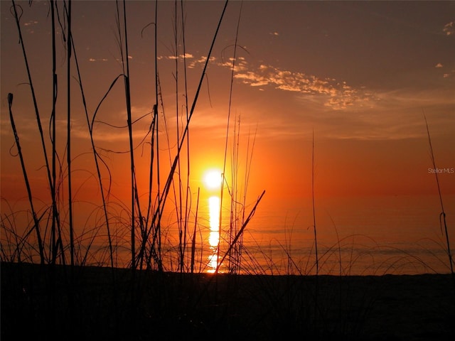 4621 Gulf Of Mexico Dr Unit 16B, Longboat Key, FL 34228 - photo 30