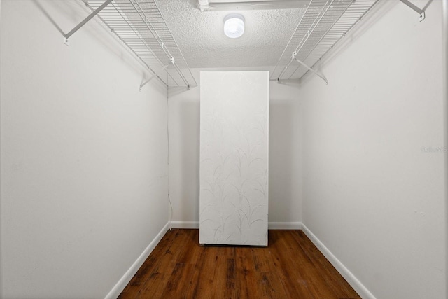 spacious closet featuring dark hardwood / wood-style flooring