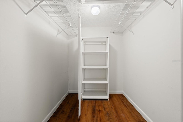 spacious closet featuring dark hardwood / wood-style floors