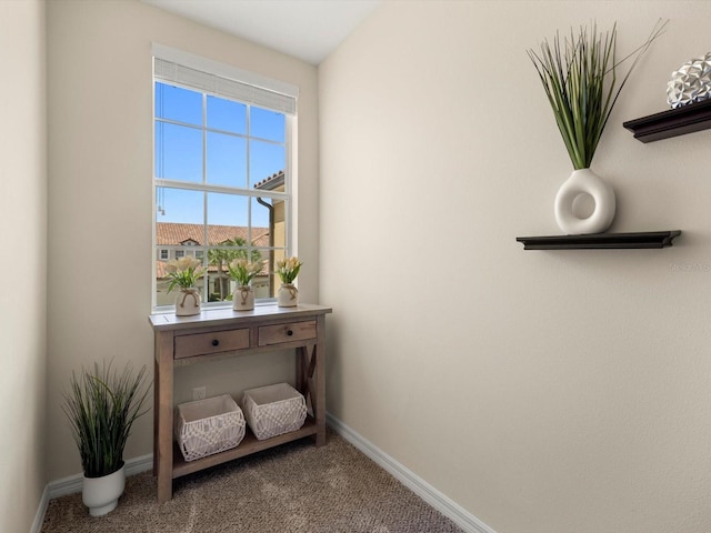 living area featuring carpet floors