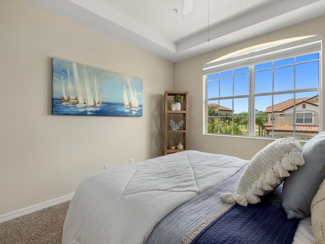 bedroom with carpet flooring