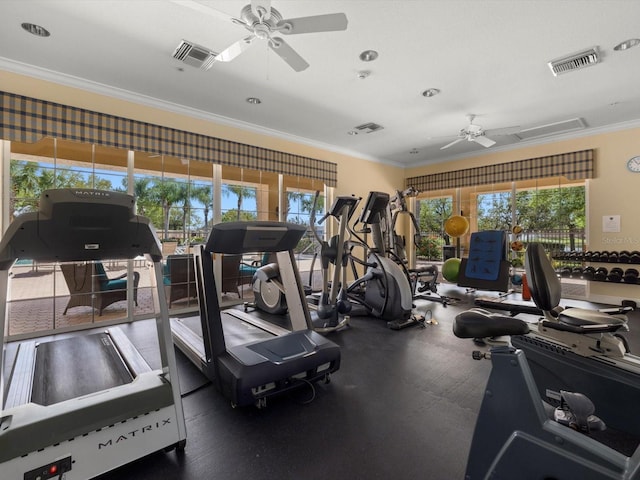 exercise room featuring crown molding, plenty of natural light, and ceiling fan