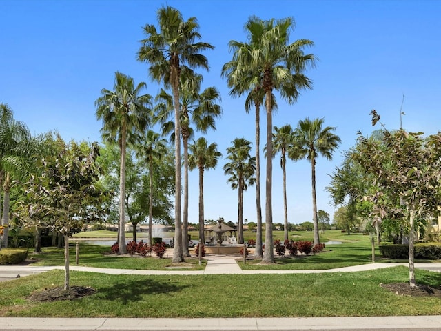 view of home's community featuring a lawn