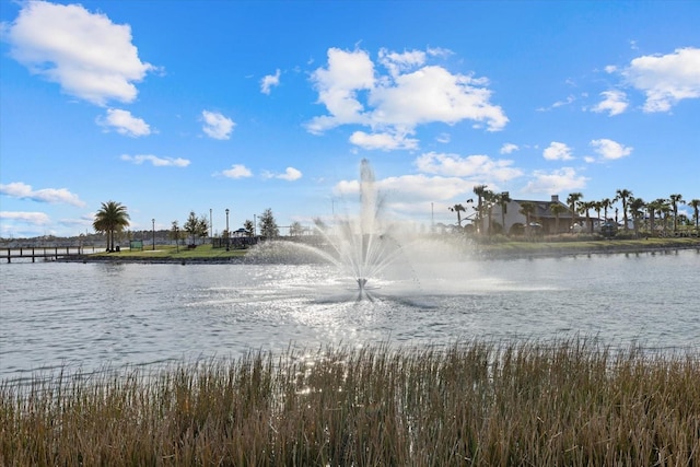 property view of water