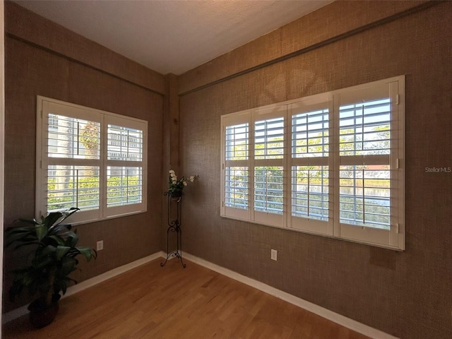 spare room featuring a wealth of natural light and hardwood / wood-style floors