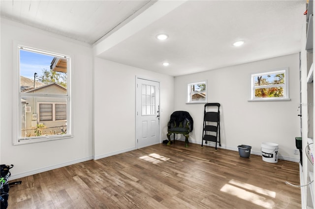 entryway featuring dark hardwood / wood-style floors