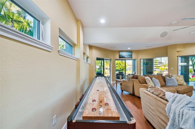 playroom with wood-type flooring