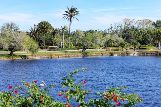 view of water feature