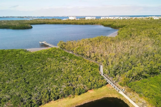 bird's eye view featuring a water view