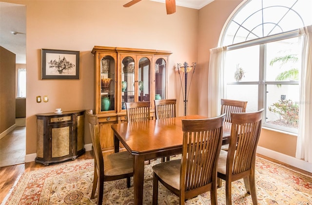 dining space featuring a high ceiling, a ceiling fan, baseboards, light wood finished floors, and crown molding