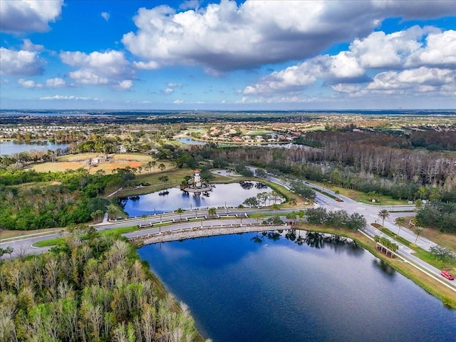 bird's eye view with a water view