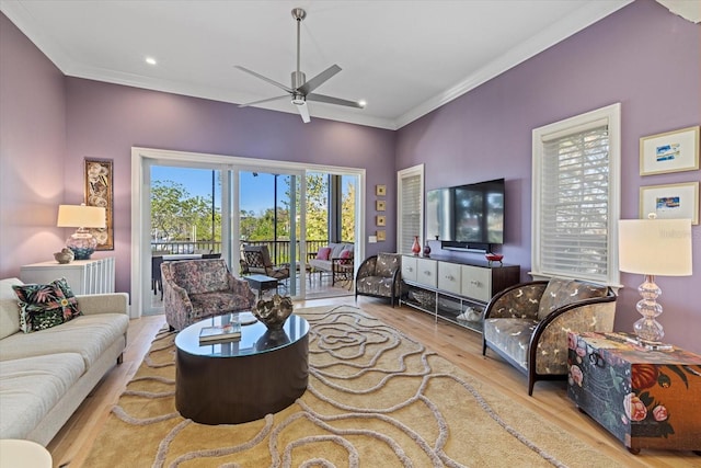 living room featuring ceiling fan, light hardwood / wood-style floors, and crown molding