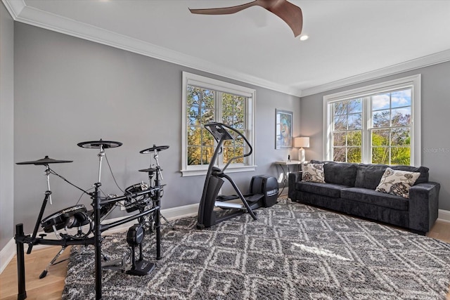 workout room with ceiling fan, crown molding, and wood-type flooring