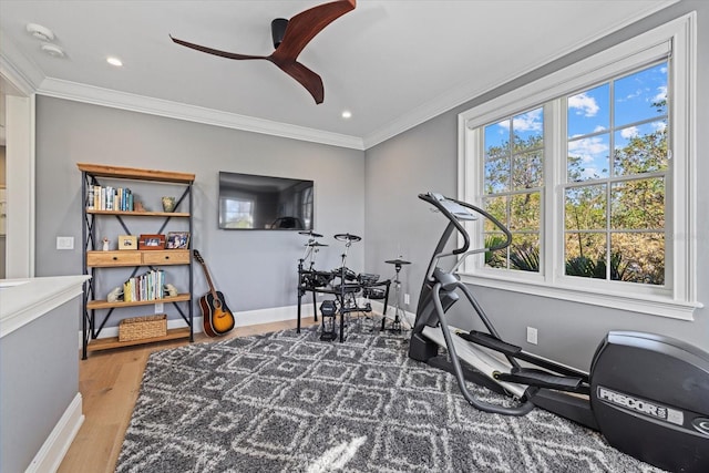 exercise room featuring a wealth of natural light, crown molding, and wood-type flooring