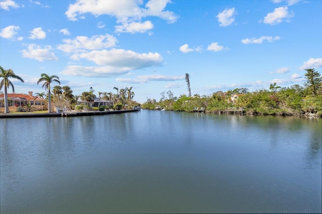 property view of water