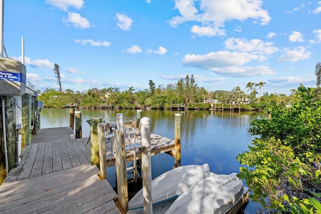 dock area with a water view