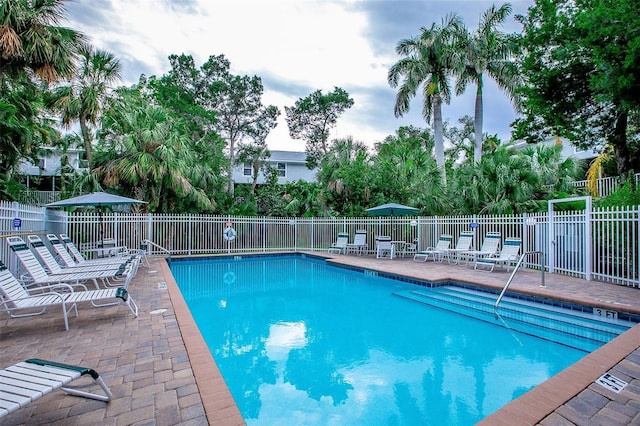 view of swimming pool featuring a patio area