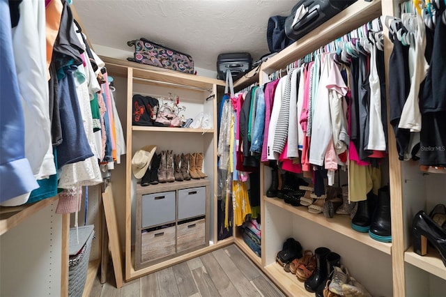 walk in closet with wood-type flooring