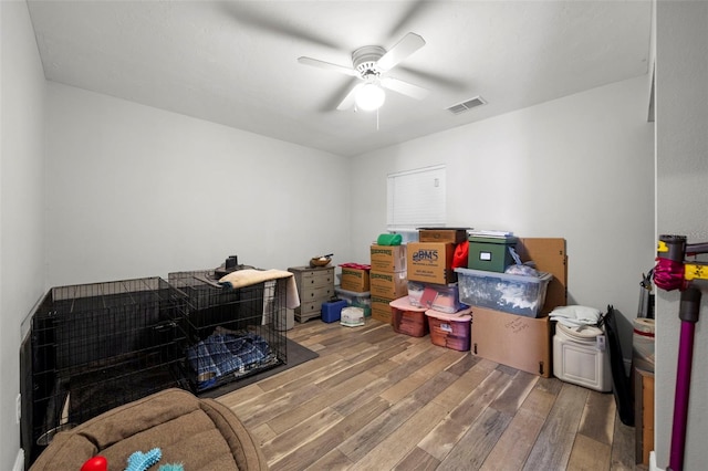 storage featuring ceiling fan