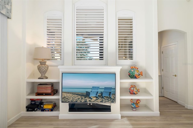 interior details featuring built in features, baseboards, and wood finished floors