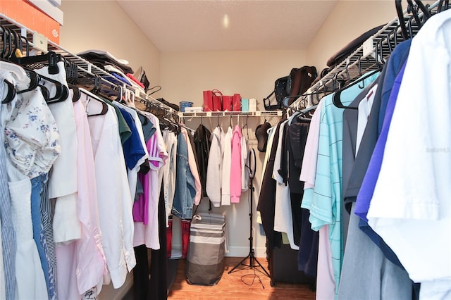 spacious closet with wood-type flooring