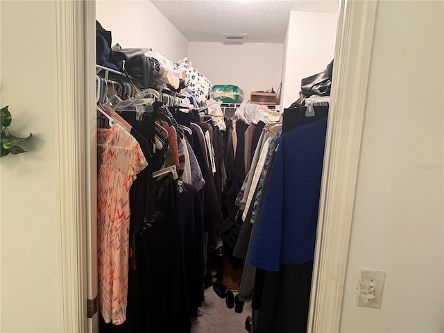 spacious closet featuring carpet floors