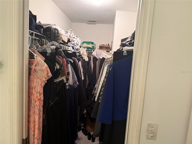 view of walk in closet