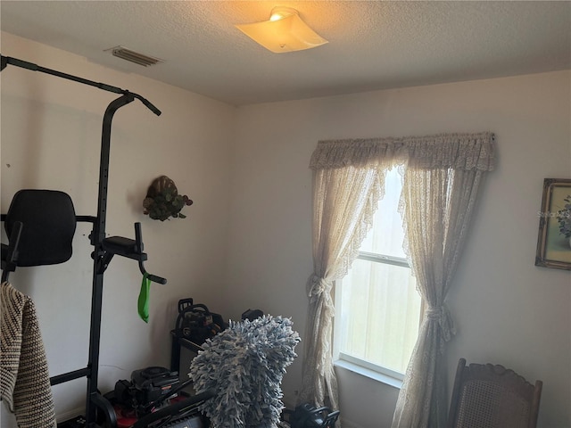 workout room featuring a textured ceiling and a wealth of natural light