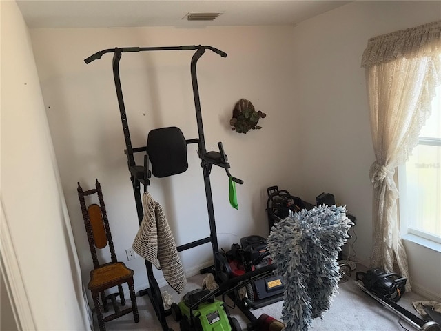 exercise room with a healthy amount of sunlight