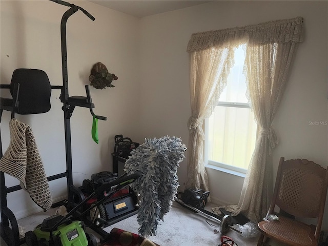 workout room featuring carpet flooring