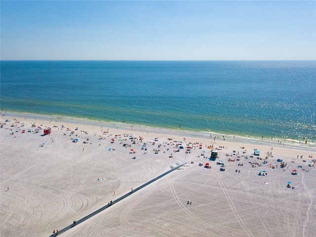 water view featuring a beach view