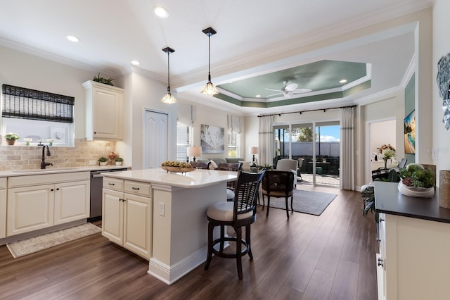 kitchen with stainless steel dishwasher, a tray ceiling, dark wood-type flooring, sink, and a kitchen island