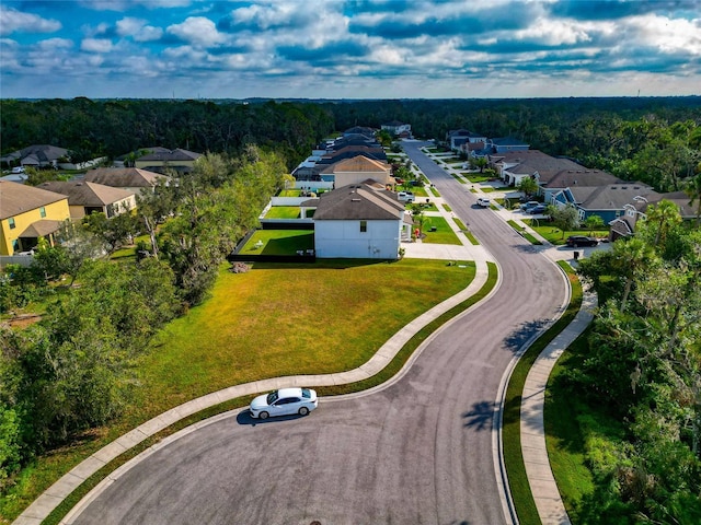 bird's eye view