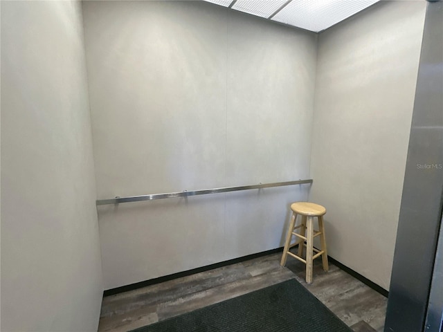 spacious closet featuring dark wood-type flooring