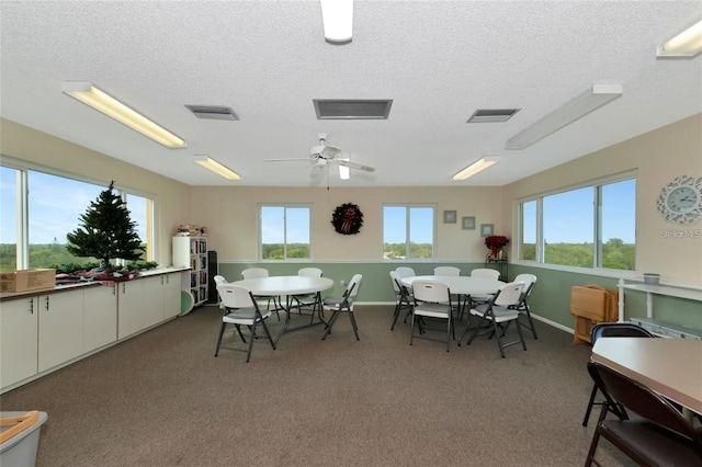 dining space featuring carpet flooring and a textured ceiling