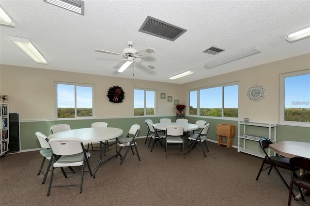 dining room featuring a textured ceiling, carpet floors, and a wealth of natural light