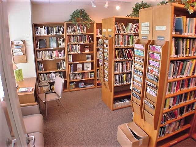 living area featuring carpet floors