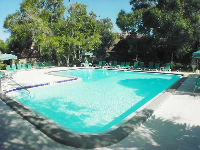 view of pool featuring a patio