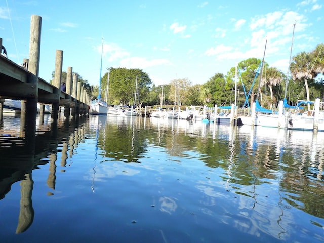 view of water feature with a dock