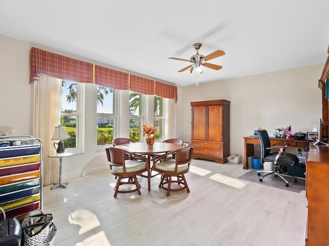 dining space with ceiling fan and light hardwood / wood-style flooring