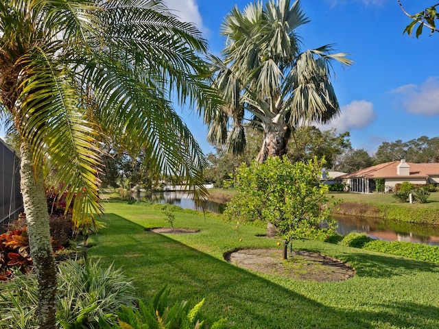 view of home's community featuring a water view and a lawn