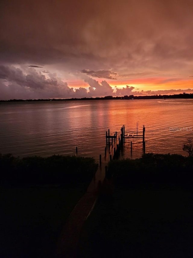 water view featuring a boat dock