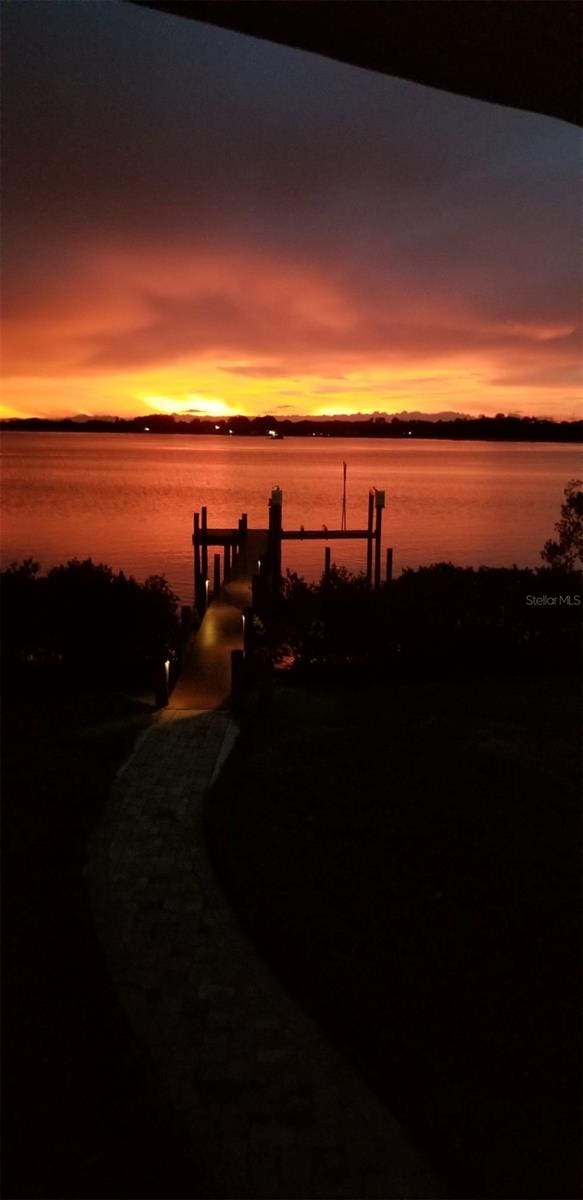 property view of water with a dock