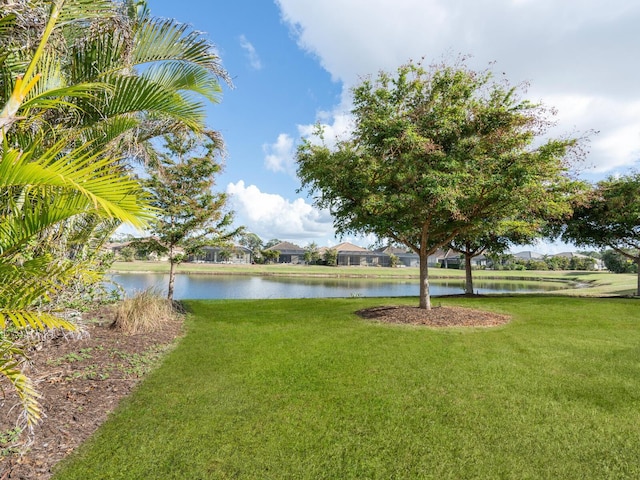 view of yard with a water view