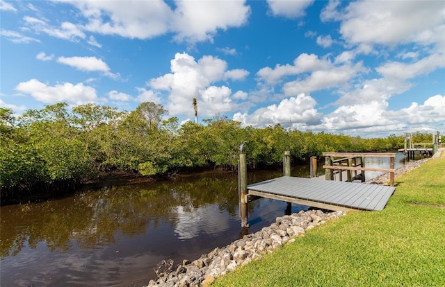 dock area with a yard and a water view