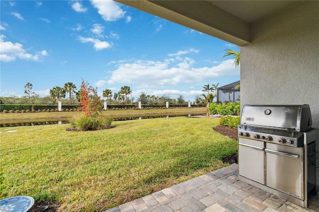 view of yard featuring a patio area and a lanai