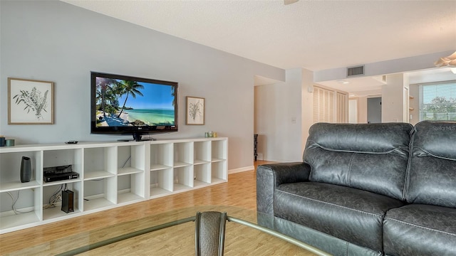 living room with hardwood / wood-style floors and a textured ceiling