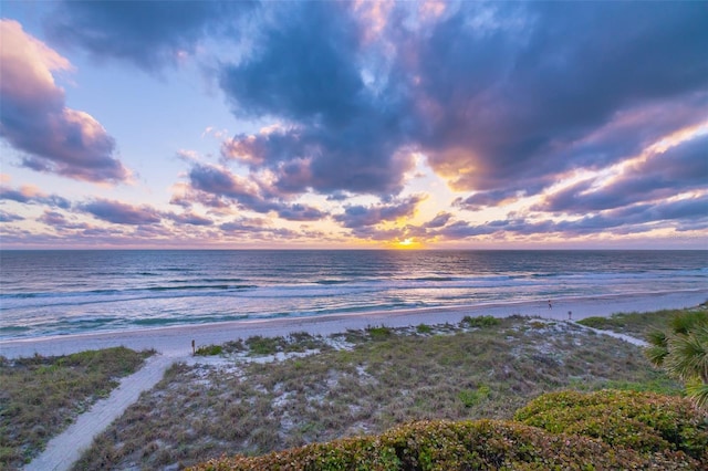 water view featuring a beach view